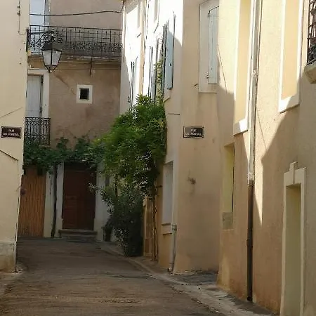 Le Mimosa