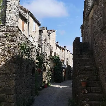 D'hôtes Le Mimosa