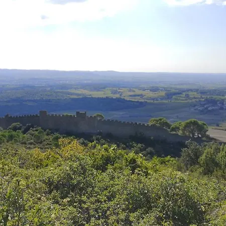 Le Mimosa Saint-Saturnin-de-Lucian