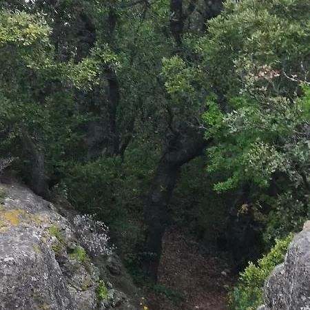 Le Mimosa 3*