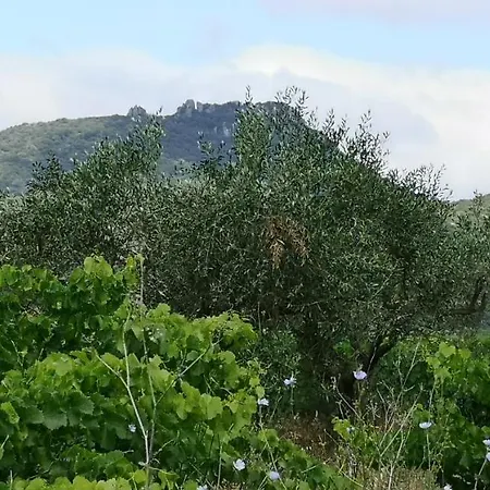 D'hôtes Le Mimosa 3*