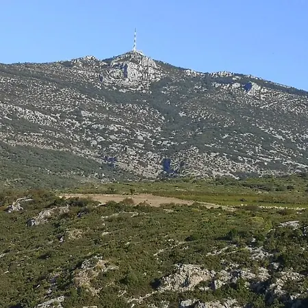 Le Mimosa Saint-Saturnin-de-Lucian