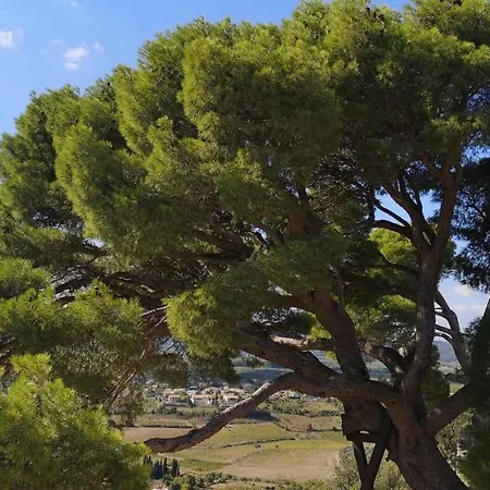 Le Mimosa לינה וארוחת בוקר Saint-Saturnin-de-Lucian