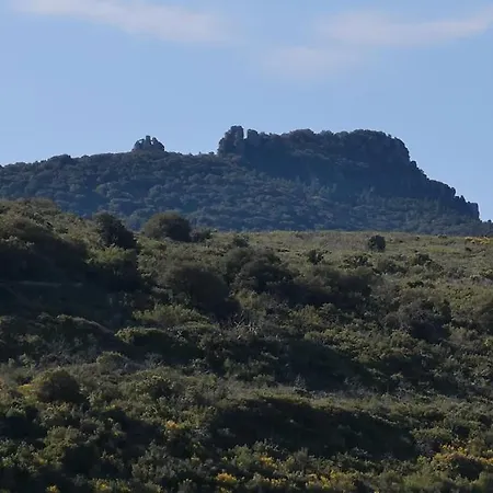 Le Mimosa Saint-Saturnin-de-Lucian