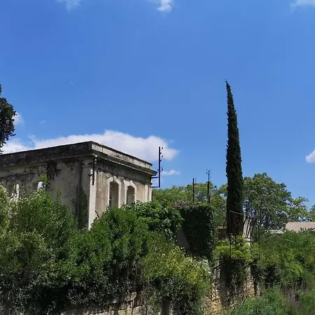 Le Mimosa לינה וארוחת בוקר Saint-Saturnin-de-Lucian