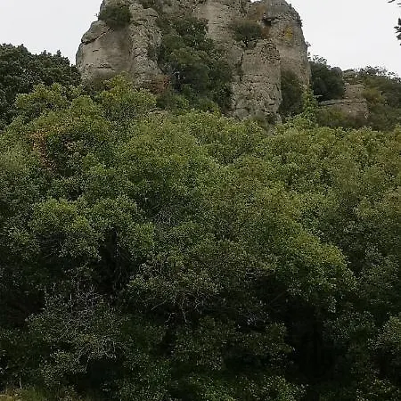 Alojamento de Acomodação e Pequeno-almoço D'hôtes Le Mimosa