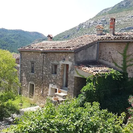 Le Mimosa * Saint-Saturnin-de-Lucian