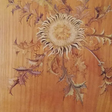 לינה וארוחת בוקר Le Mimosa Saint-Saturnin-de-Lucian